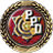 V badge RoguePPD.png