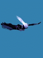 Ghost Widow Emote Flypose3.gif