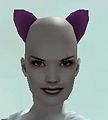Cat Ears.jpg