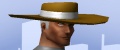 SB2 Male Renegade Hat.jpg