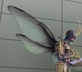Insect Wings 01.jpg