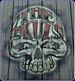 Villains skulls1.jpg