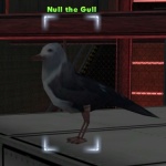 Null the Gull